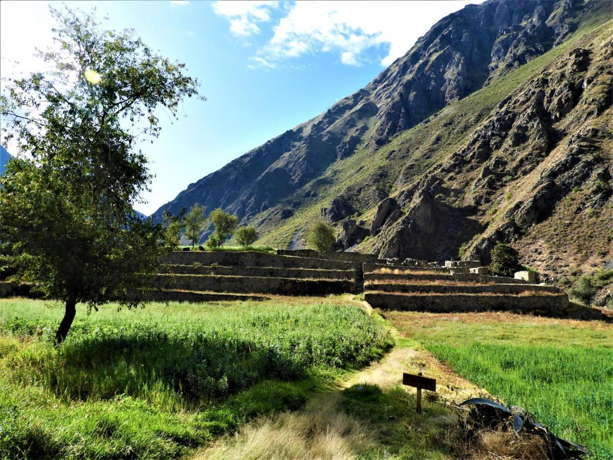 Ayllu B&B Ollantaytambo Exteriör bild