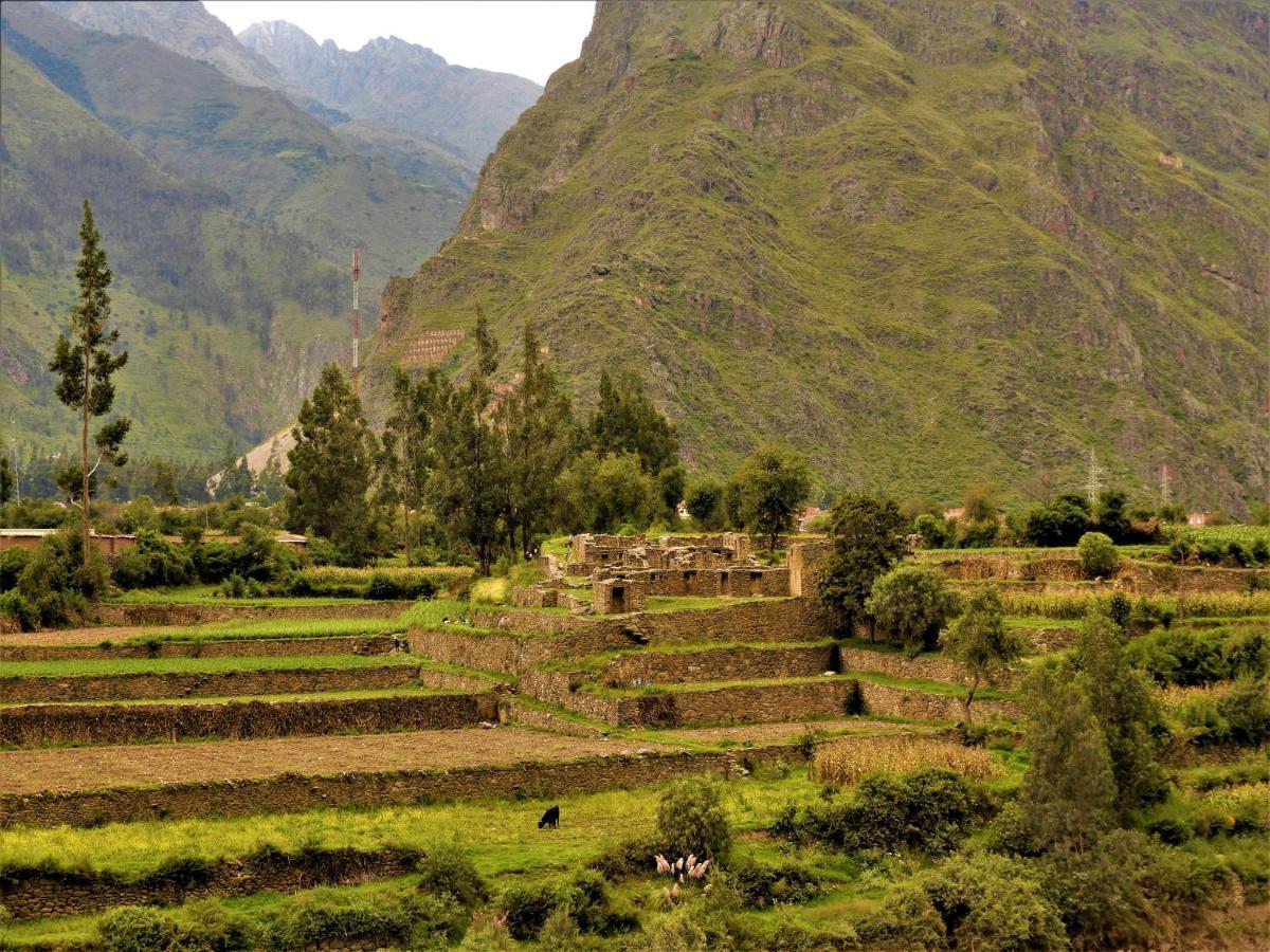 Ayllu B&B Ollantaytambo Exteriör bild